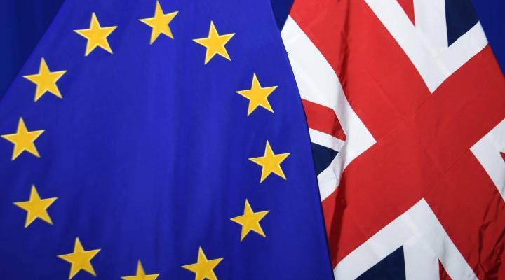 将来のEU・英国関係の枠組みに関する指針を採択