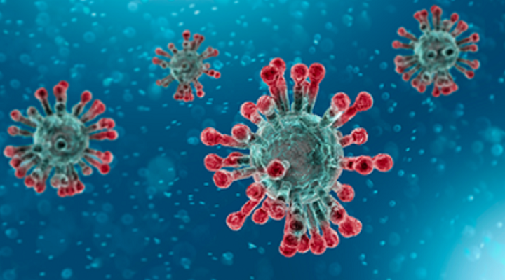 新型コロナウイルス感染症拡大へのEUの対応